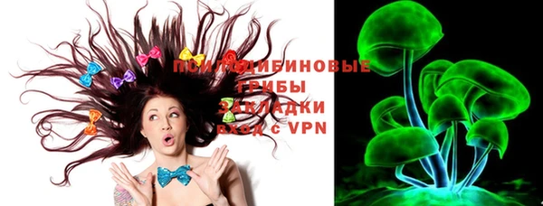 прущие крисы Бородино