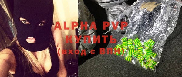 прущие крисы Бородино