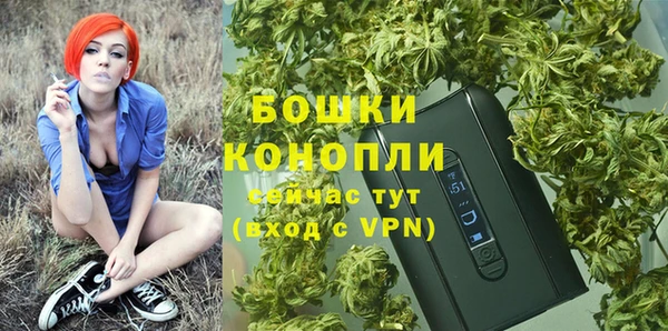 прущие крисы Бородино