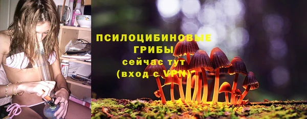 прущие крисы Бородино