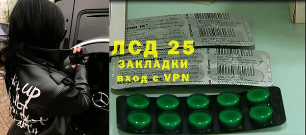 прущие крисы Бородино